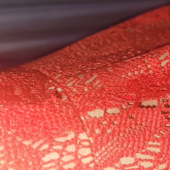 ❤️Evan Picone Women's Cap Sleeve  Lace Fit & Flare Dress - Tangerine Sz … - Picture 10 of 12